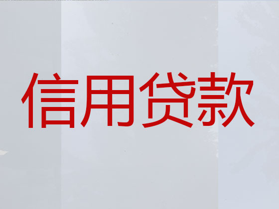 山南市信用贷款中介